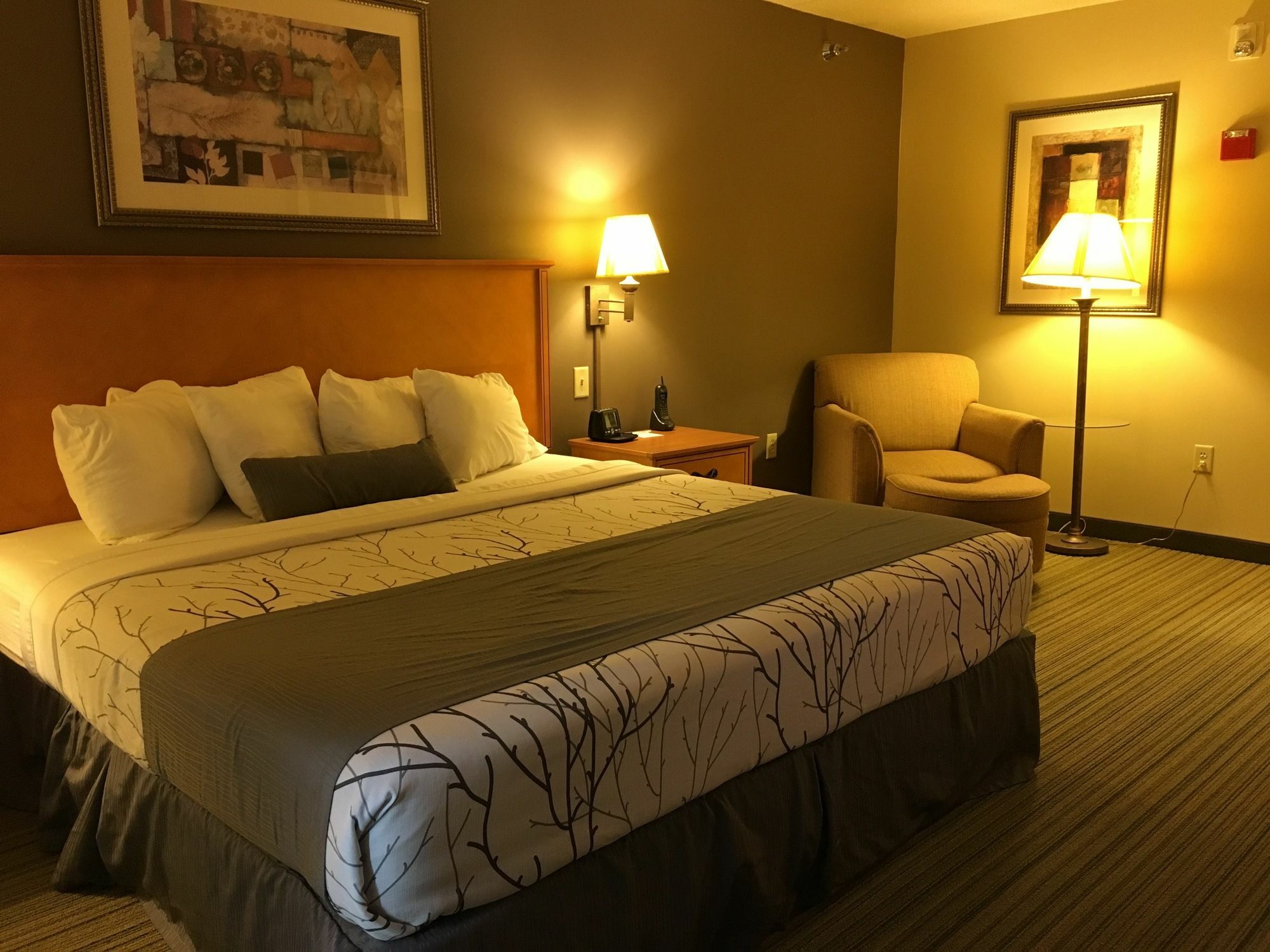 Wingate By Wyndham Coon Rapids Hotel Buitenkant foto